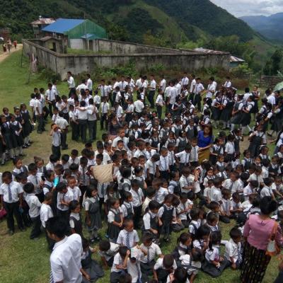 Cehs Sinzawl 2